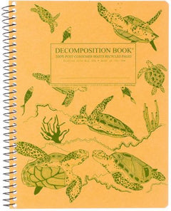 NTBK SEA TURTLES DECOMP LG