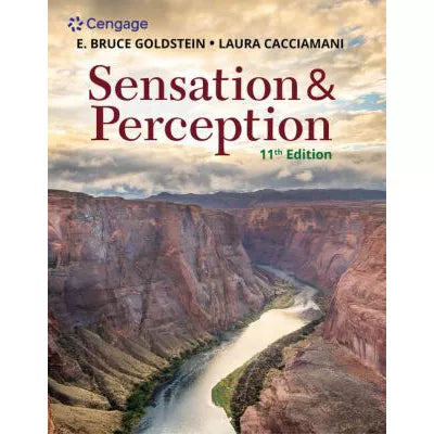 Sensation &amp; Perception