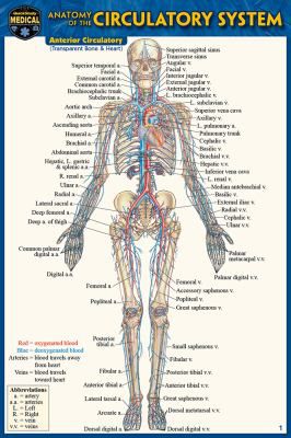 ANATOMY OF THE CIRCULATORY SYS