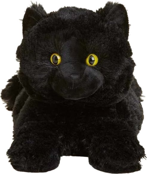 BLACK CAT